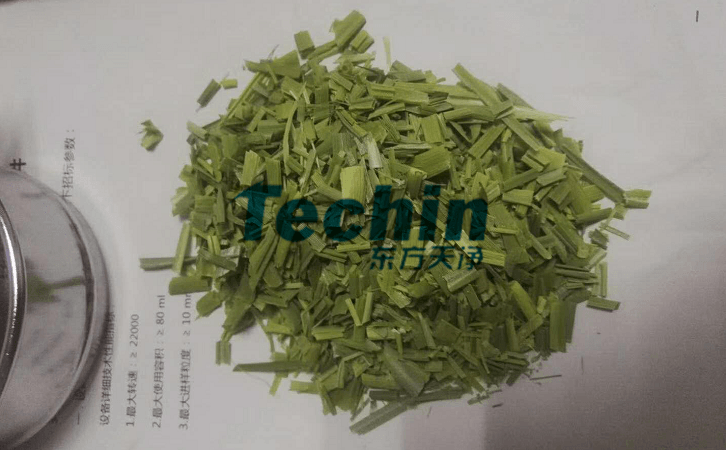 水稻叶子茄子视频网站前