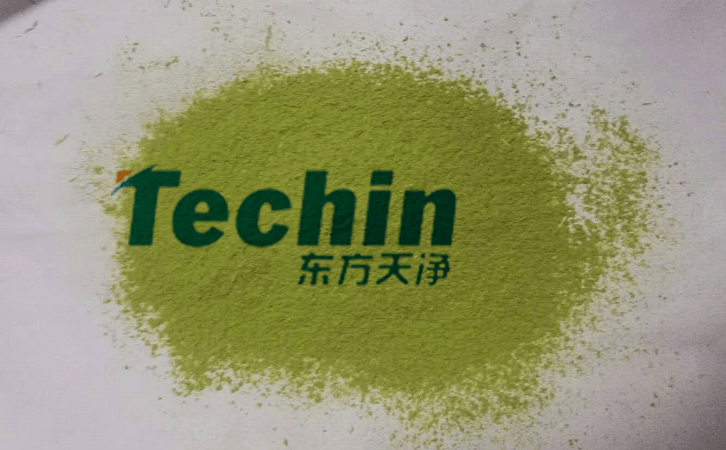 茄子视频网站后的植物叶片