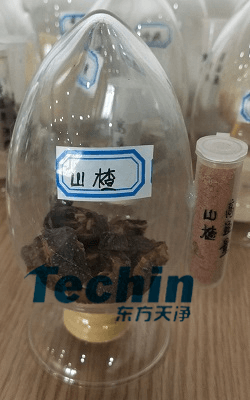 山楂茄子视频网站前后