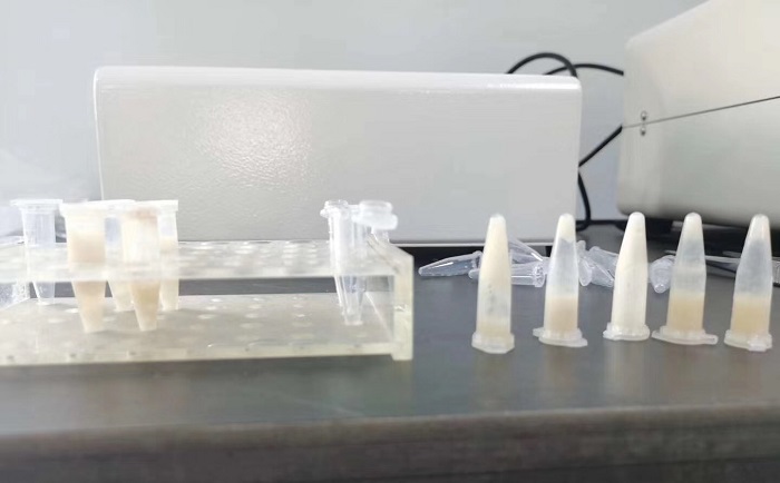 猪肉组织茄子视频网站后